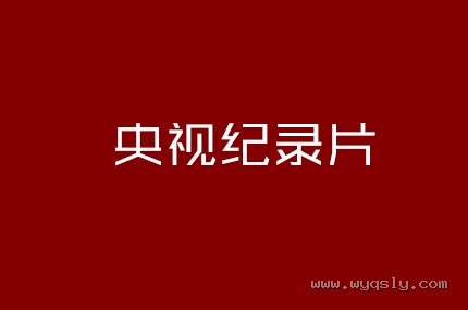 央视纪录片