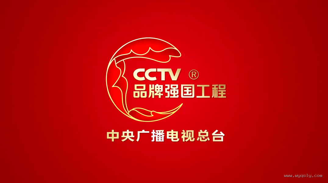CCTV 品牌强国工程 中央广播电视总台