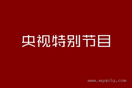 央视特别节目